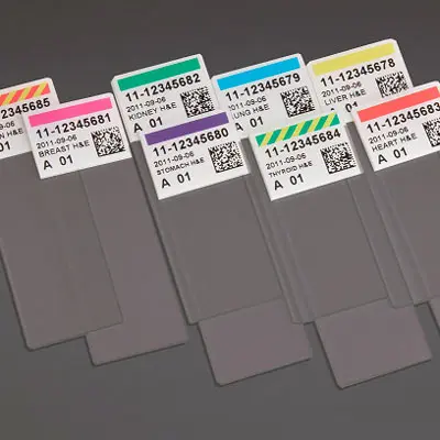 stampantevetrini-vetrini-makol